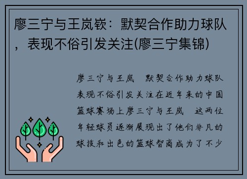 廖三宁与王岚嵚：默契合作助力球队，表现不俗引发关注(廖三宁集锦)