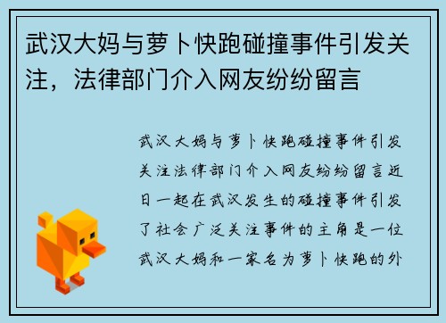 武汉大妈与萝卜快跑碰撞事件引发关注，法律部门介入网友纷纷留言